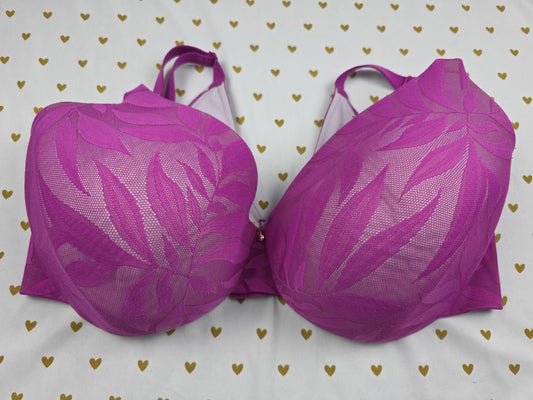 Cacique Purple 42F Back Smoother Lightly Lined Full Coverage Bra 42DDD